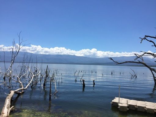 Lago Enriquillo - 375 km² - Salzsee Ruhevoller See mit klarem Wasser und kahlen Baumstümpfen, im Hintergrund Berge und blauer Himmel.