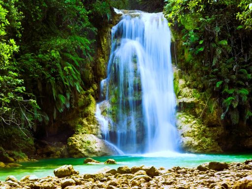 Wasserfall - Salto el Limon - Samana Ein malerischer Wasserfall fließt in einen klaren, grünen Pool, umgeben von üppiger Vegetation.